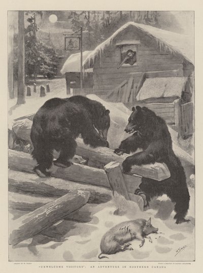 Unwelcome Visitors, an Adventure in Northern Canada by William Small